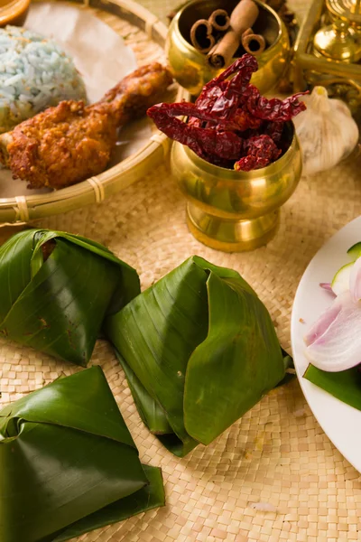 Nasi lemak bungkus, tradiční malajsijské kari pasta rýže miska se — Stock fotografie