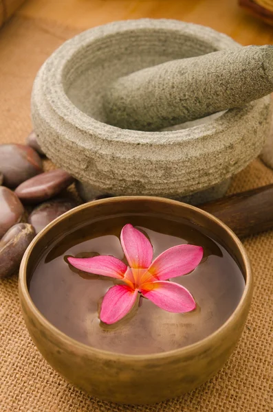 Frangipani spa concept photo, lowlight ambient spa lighting, sha — Stock Photo, Image