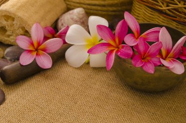 tropikal spa kurulum ile geleneksel frangipani çiçek ve massag