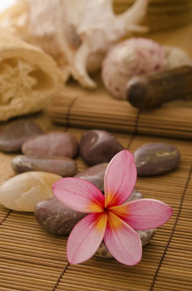 tropikal spa kurulum ile geleneksel frangipani çiçek ve massag