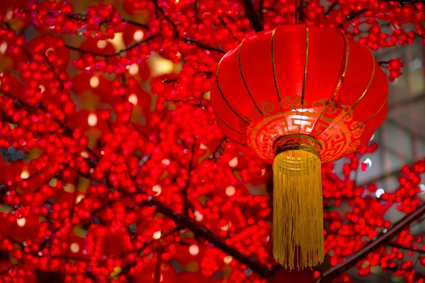 Detail van Chinees Nieuwjaar laterns opknoping op tress — Stockfoto