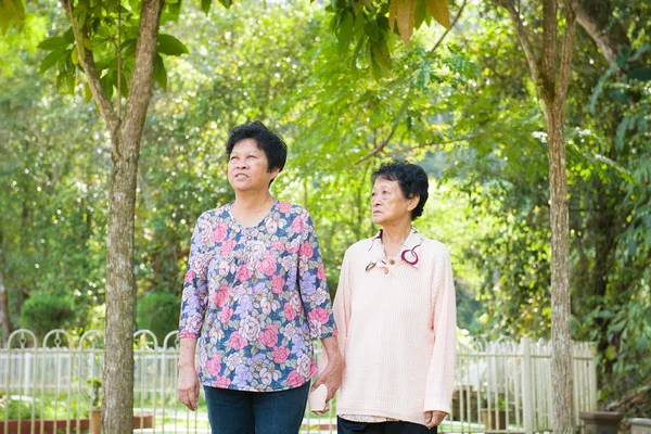 Asiatische Seniorin hält Händchen beim Gehen im Outdoor-Park. — Stockfoto