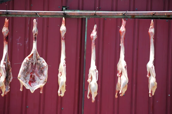 Zupełnie martwy surowego kaczki w przygotowaniu do gotowania tradycyjnych podbródek — Zdjęcie stockowe
