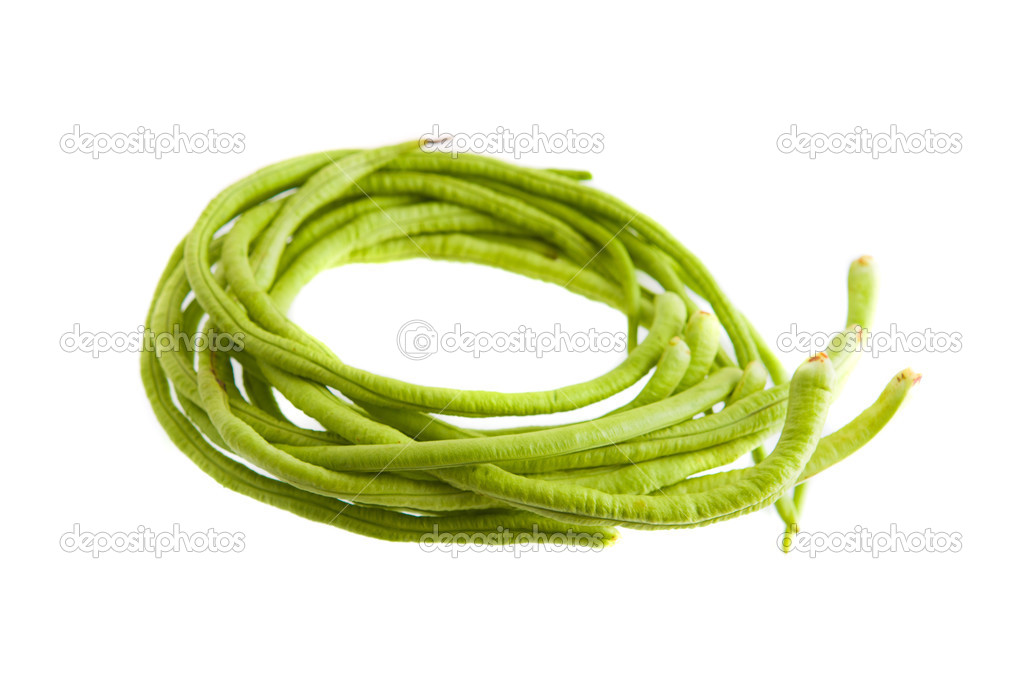 A bunch of freshly picked long beans isolated on white