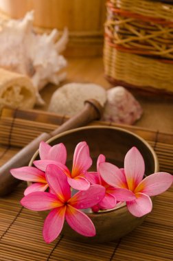 Bali dili spa ayarı.