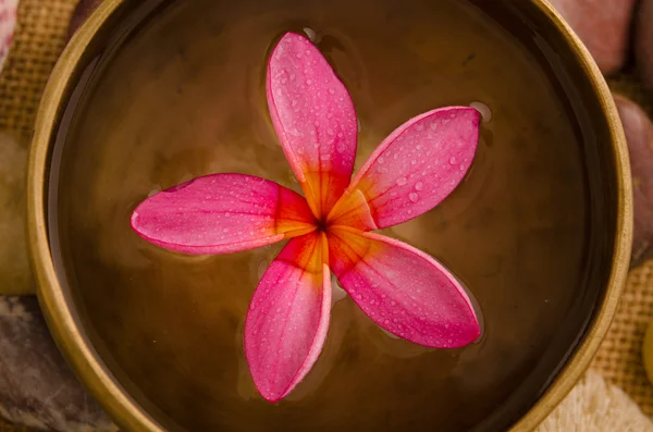 Balinese Spa setting. — Stock Photo, Image