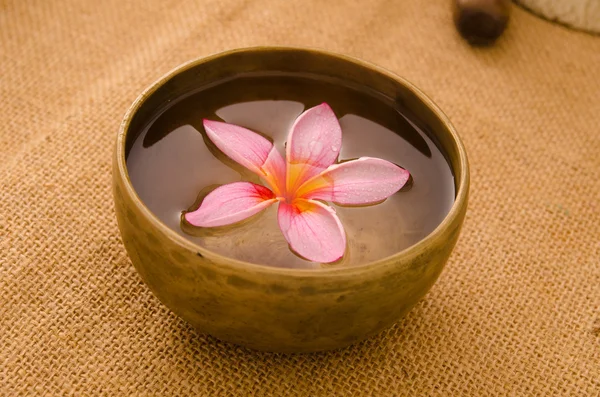 Pink frangipani with pebbles on woven bamboo mat — Stock Photo, Image