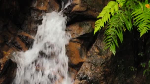 Cascada de montaña — Vídeos de Stock