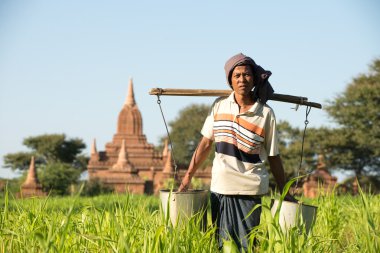 Portrait of a male farmer clipart