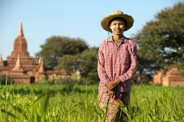 Asian gil on field — Stock Photo, Image