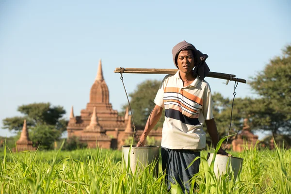 Retrato de un agricultor — Foto de Stock