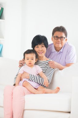 Asian grandparents with granddaugther clipart