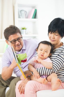 dedesi büyük kızı hikaye kitabı okuma