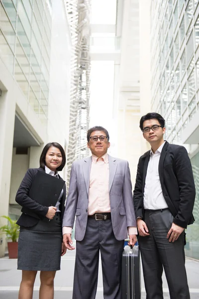 Singaporean business team — Stock Photo, Image