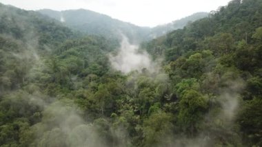 Sunrise in the rainforest with fogs and low clouds. malaysia forest, drone view
