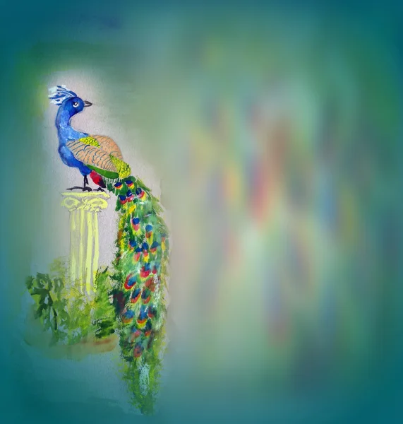 Akvarell påfågel fågel på grått papper bakgrund — Stockfoto