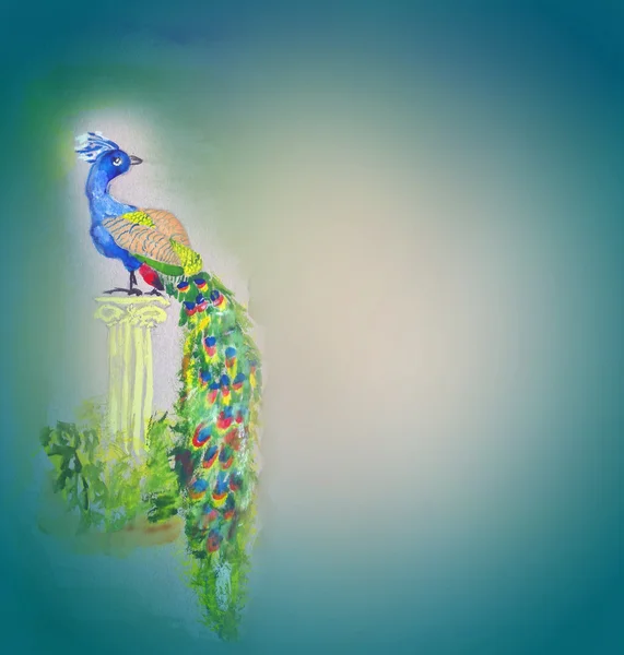 Akvarell páva madár szürke papír alapon — Stock Fotó