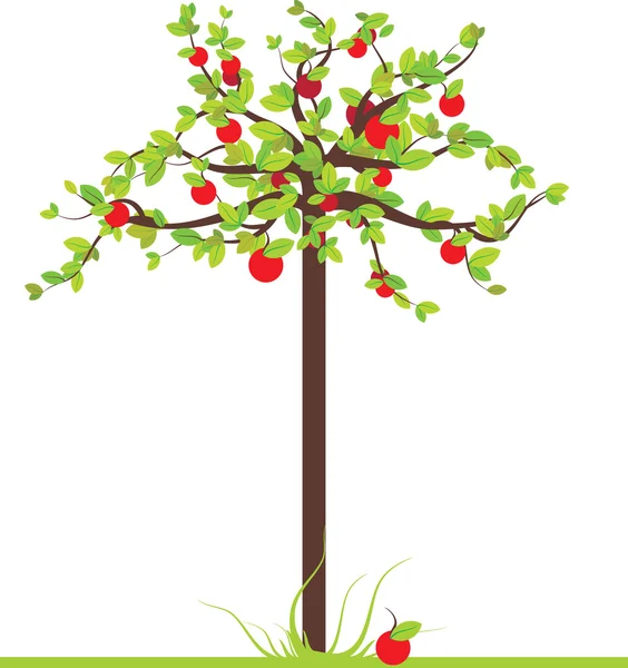 Appelboom — Stockvector