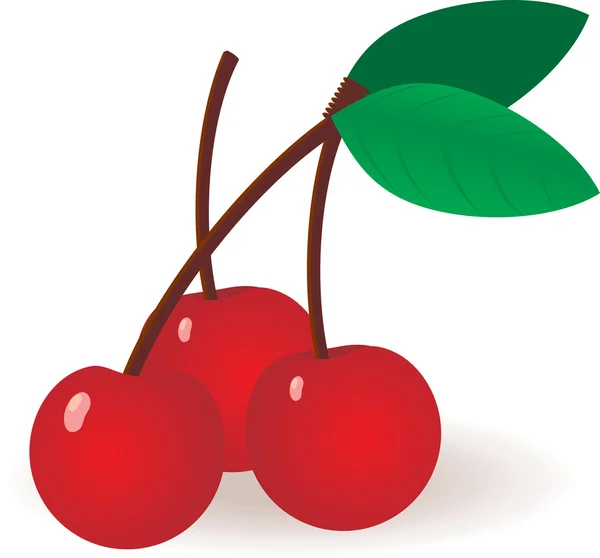 Vector cherry bessen — Stockvector