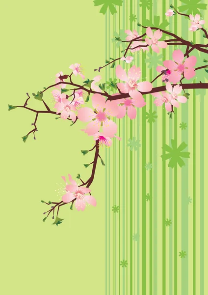 粉色花背景 — 图库矢量图片