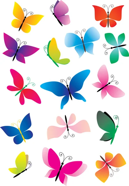 Different butterflies — Stock Vector
