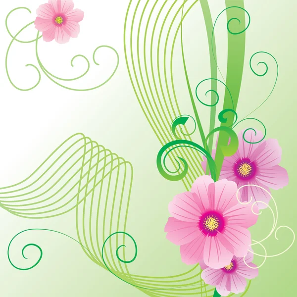 ピンクのコスモスの花と緑のベクトル春イラスト — ストックベクタ