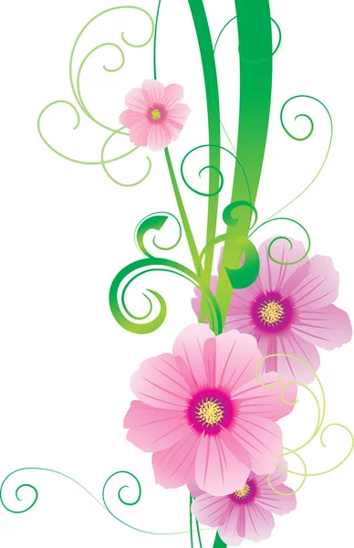 Illustration de printemps vectoriel vert avec fleur cosmos rose — Image vectorielle