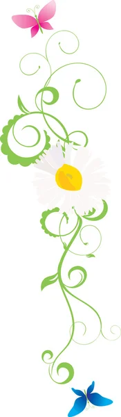 Daisy krommen met kleur vlinders — Stockvector