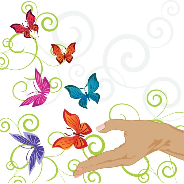 Courbes de papillons — Image vectorielle