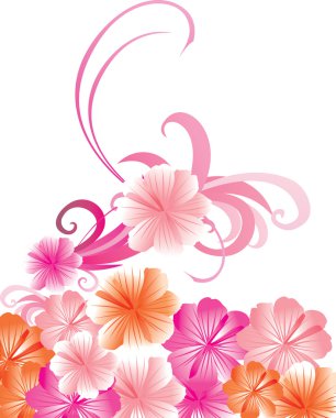 vektör cosmos çiçek sınır ve eğriler