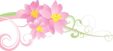 pembe çiçekler eğrileri