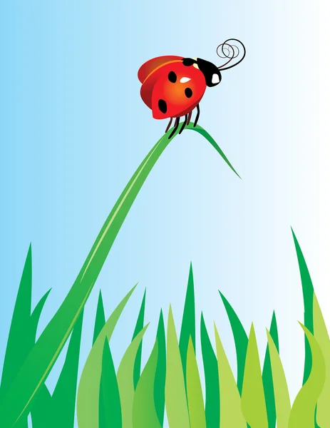 Coccinelle rouge sur herbe verte — Image vectorielle