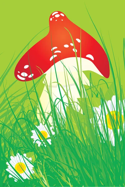 Rode paddestoel met gras en madeliefjes — Stockvector