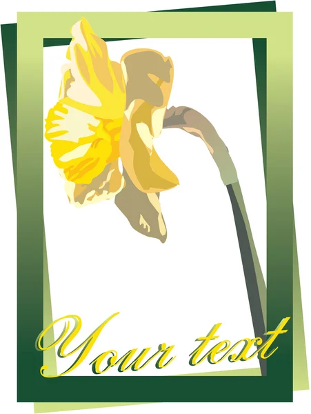 Frame with narcissus — Stock Vector