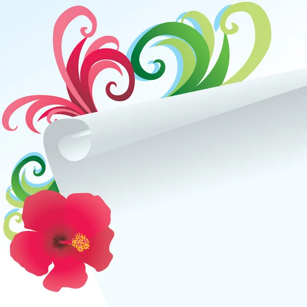 Hibisco y papel — Vector de stock