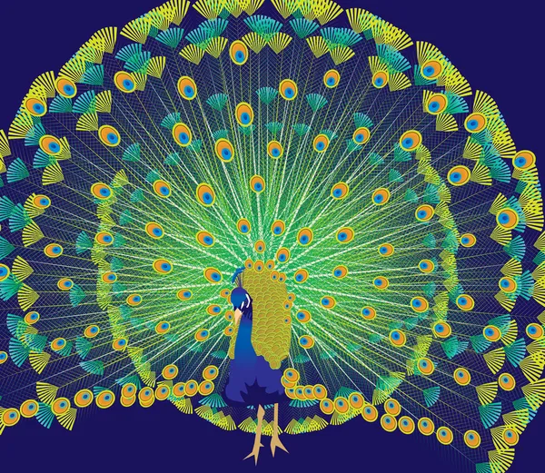 Pavo real — Archivo Imágenes Vectoriales