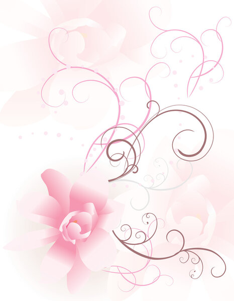 Pink honeysuckle flower