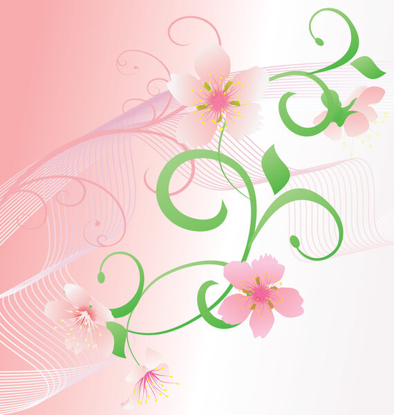 Pink flowers backdrop vector