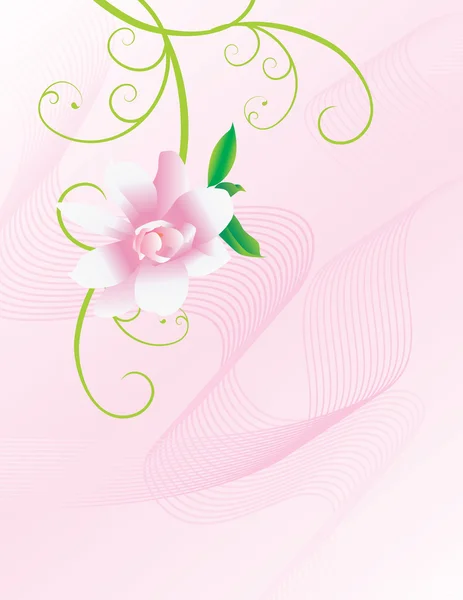 Pink flowers curves — Stock Vector