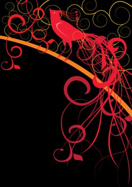 Kırmızı süslü kuş