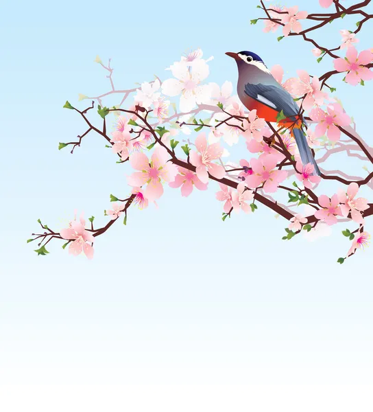 Birds on the blossoming cherry detailed vector — Stock Vector