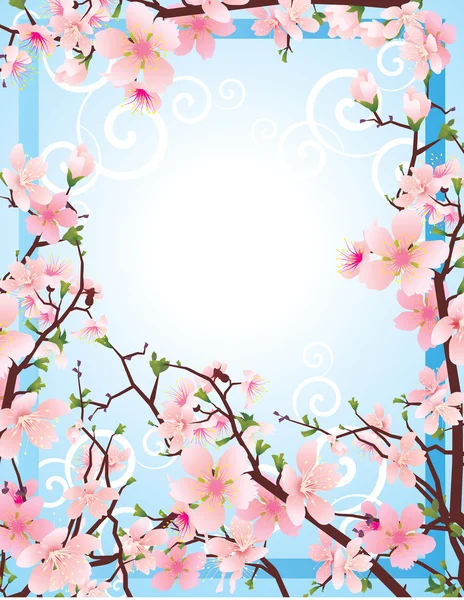 Sakura fleur — Image vectorielle