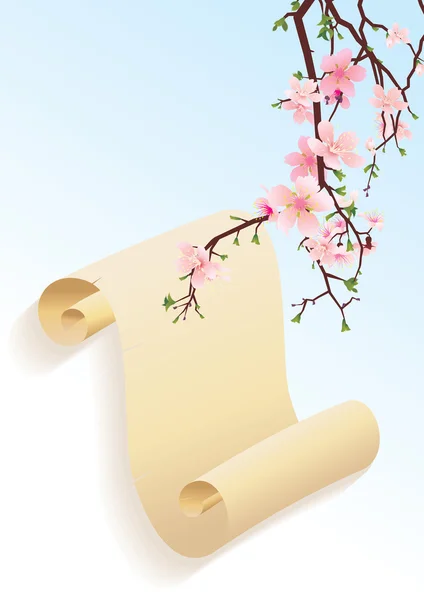Sakura-Blüte — Stockvektor