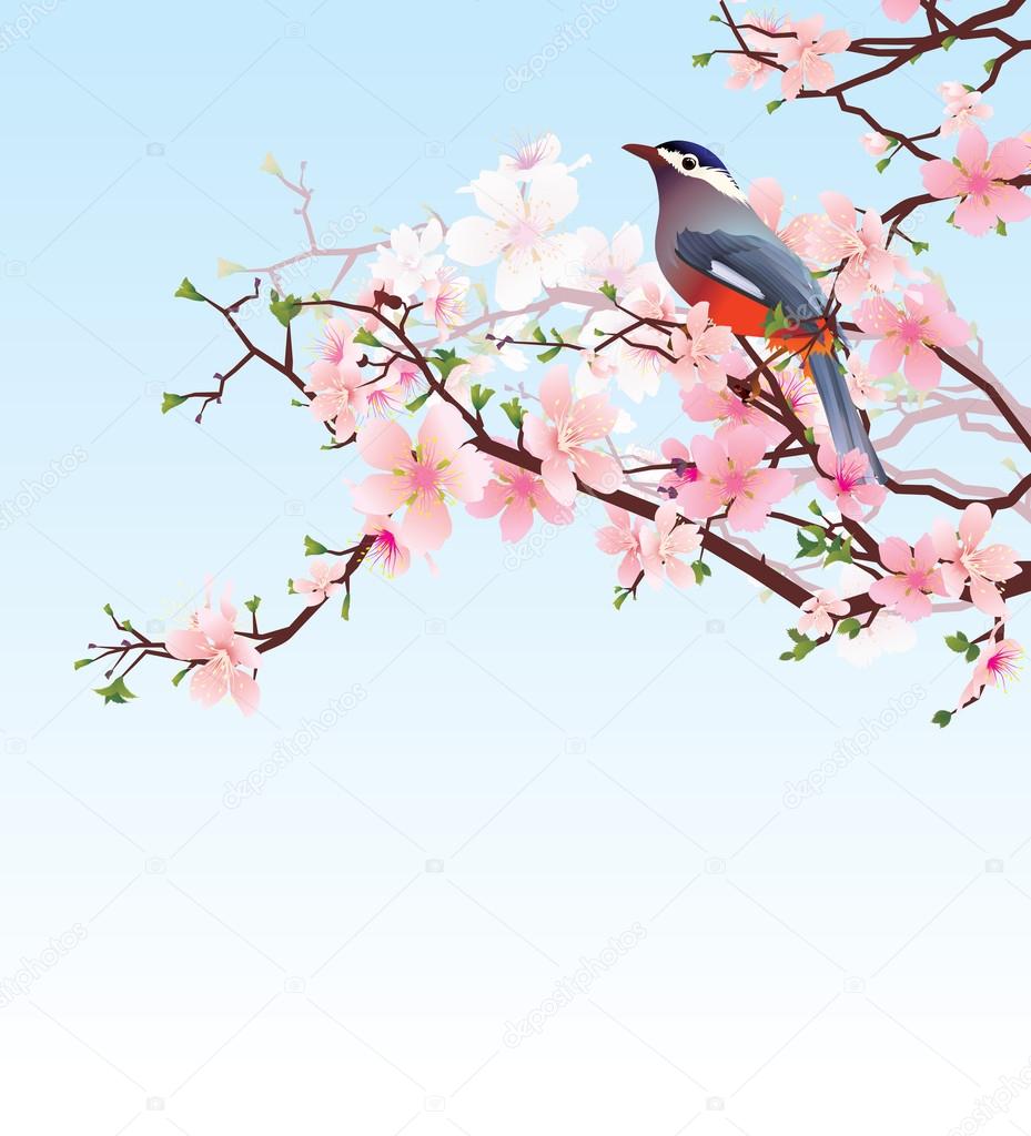 birds on the blossoming cherry detailed vector