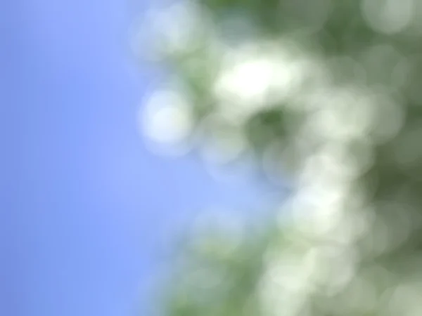 Blurred Apple blossom — Stock Photo, Image