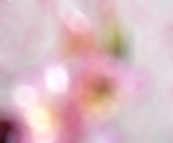 Blurred apple blossom — Stock Photo, Image