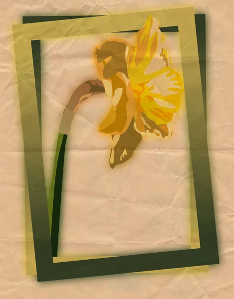 Spring frame with narcissus — 图库照片