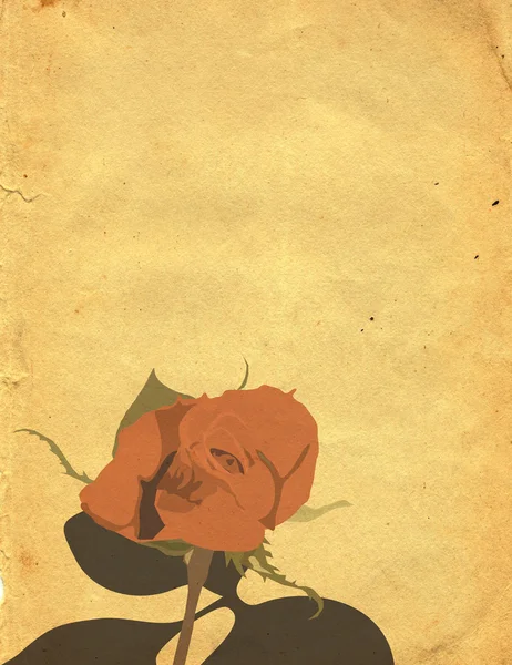 Papel velho com rosas — Fotografia de Stock