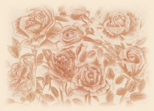 Sepia rosas pensil dibujar floral vintage fondo — Foto de Stock