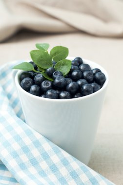 fincan taze yaban mersini, seçici odak